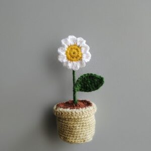 Crochet Daisy Pot